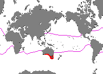 Range - Verbreitung Kuiterichthys furcipilis(Rough Frogfish - Rauer Anglerfisch)