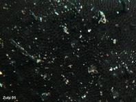 Gestreifter Anglerfisch (Antennarius striatus) - Detail der Haut mit Spinulen