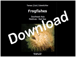 Book: Teresa (Zubi) Zuberbühler: Frogfishes, Southeast Asia, Maldives, Red Sea
