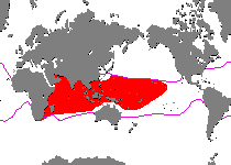 Range - Verbreitung Antennatus linearis (Pygmy frogfish - Linien-Anglerfisch) 